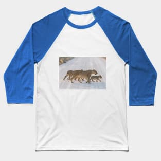 Namibia. Etosha National Park. Lioness with the Cubs Crossing Road. Baseball T-Shirt